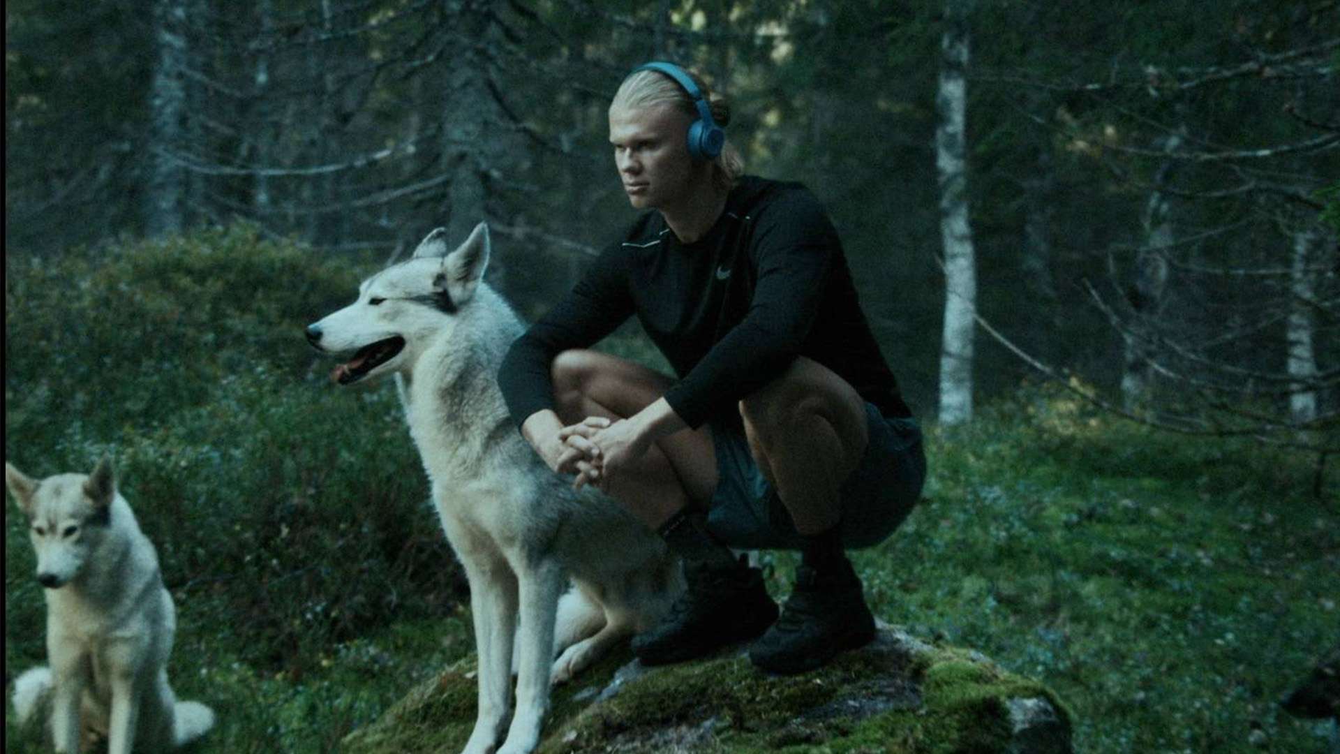 球队自身的 球队自身的