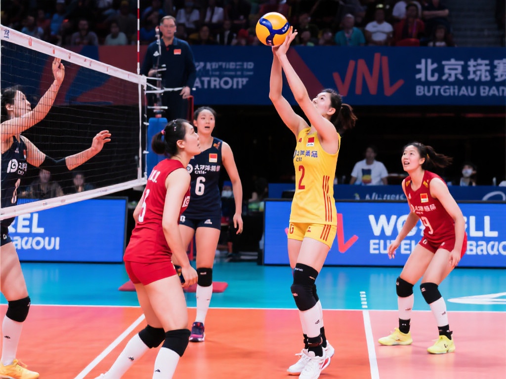 高的战术素 高的战术素